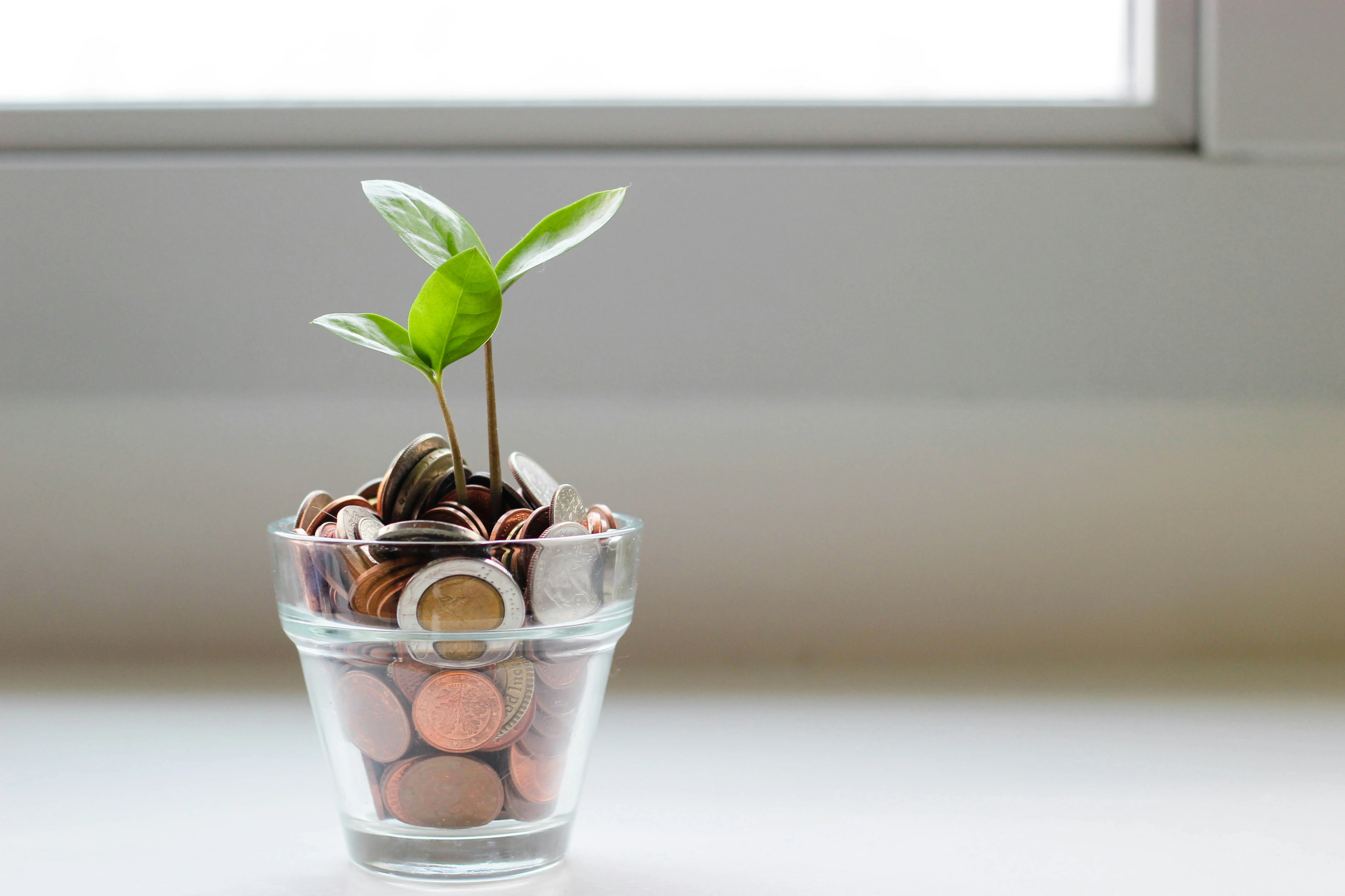 Village Savings and Loan Associations