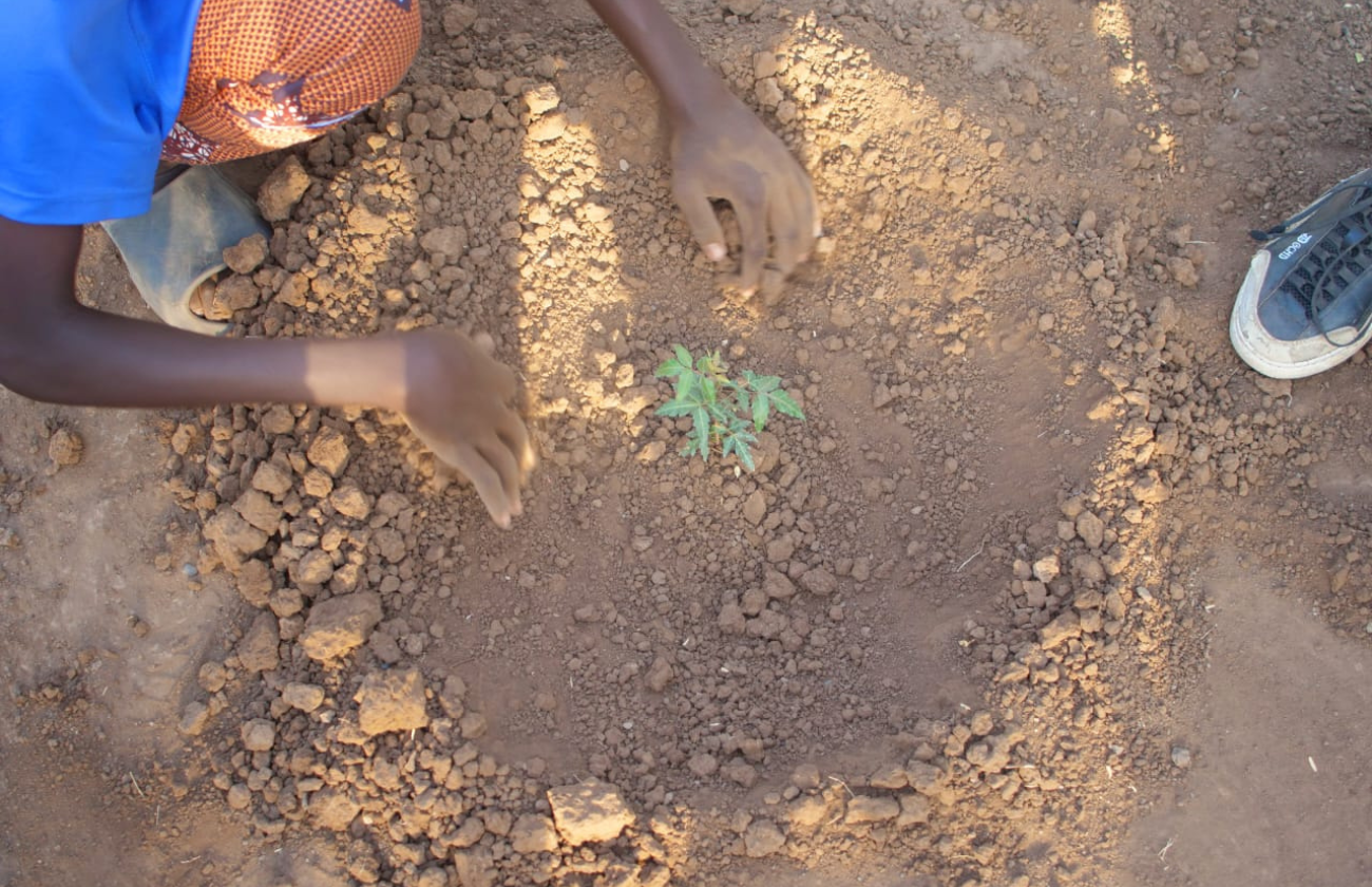 Climate Change and Environmental Sustainability